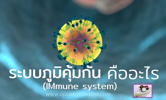 ระบบภุมิคุ้มกันที่สมดุลคืออะไร (Immune system)